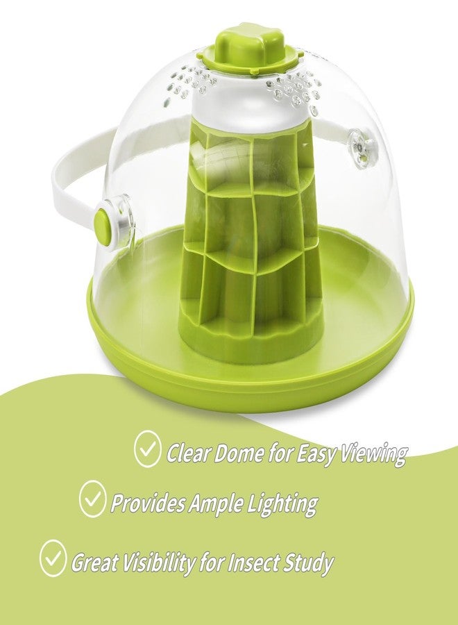 ELFULLY Snail Terrariums Breeding Box, Plastic Round Snail Habitat, Clear Feeding Box with Air Vents & Removable Base, Small Insect Feeding Bin for Beetles Spiders Ladybugs, Starter Terrarium Kit - Image 4